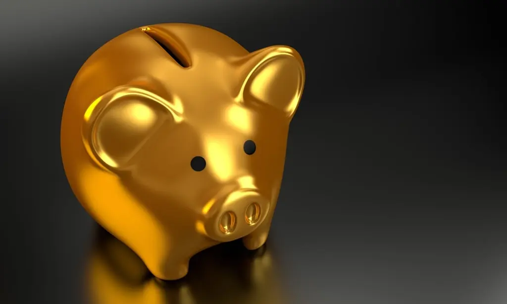 Financial Emergency Plan