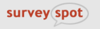 Survey Spot Review – Just a Scam or Worth Your Time?